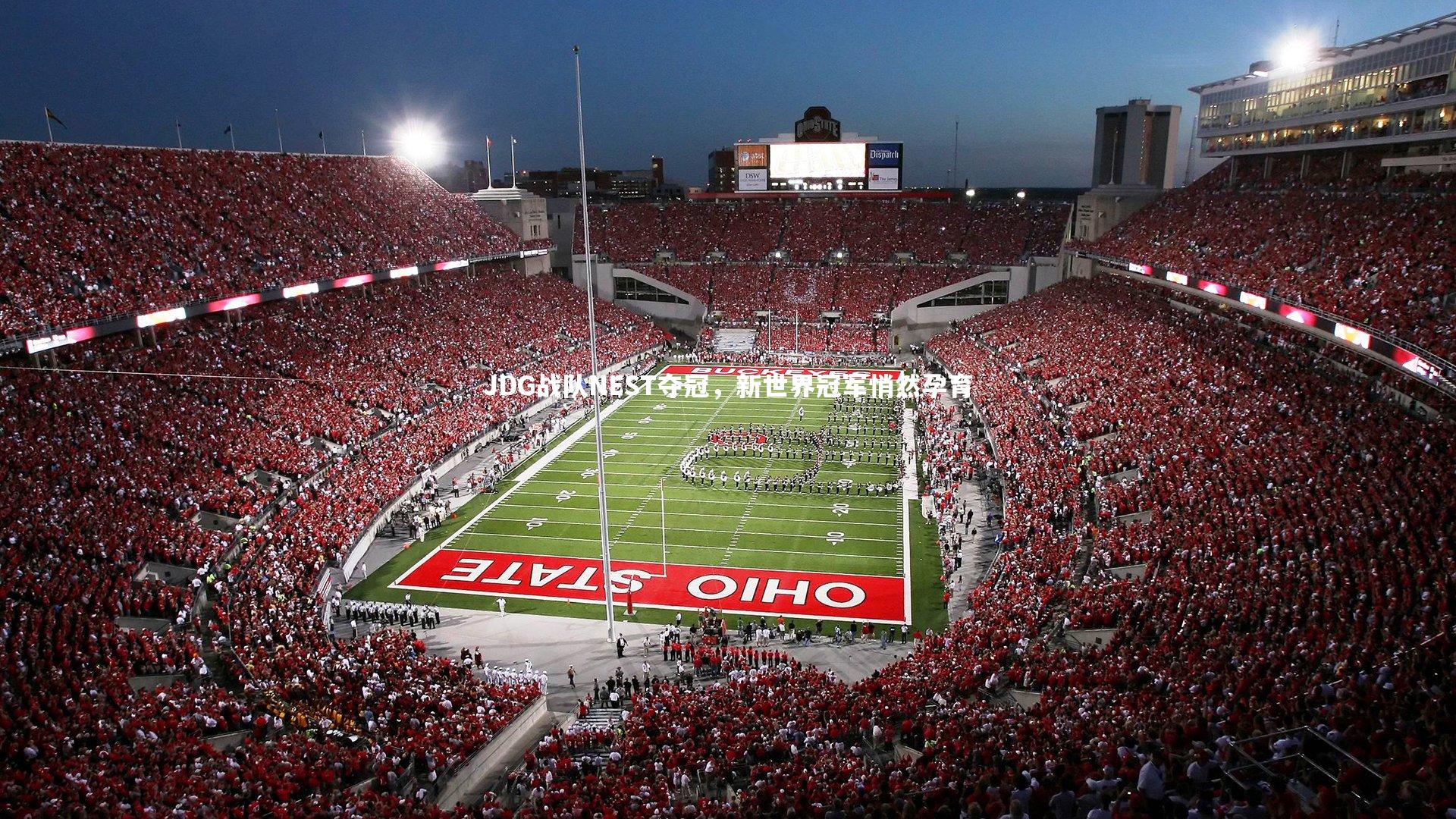 友博体育平台官网_JDG战队NEST夺冠，新世界冠军悄然孕育